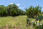 property gallery-image