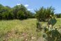 property gallery-image