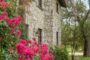 property gallery-image