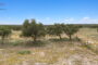 property gallery-image