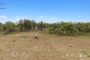 property gallery-image