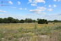 property gallery-image