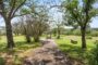 property gallery-image