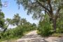 property gallery-image