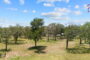 property gallery-image