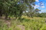 property gallery-image